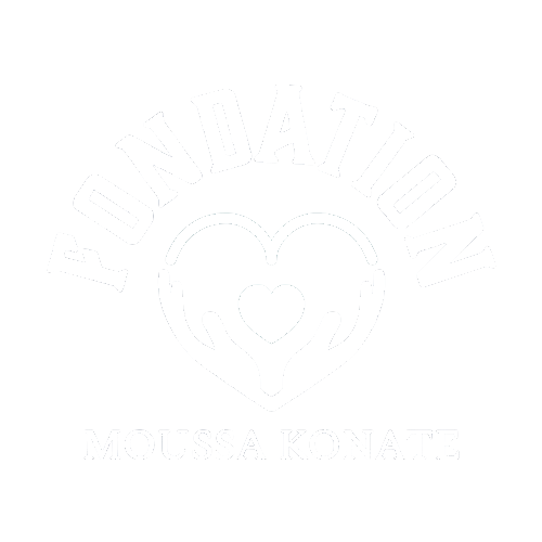 fondationmoussakonate.com